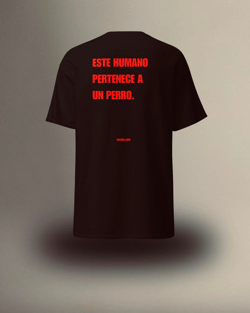 NMX-007 | ADOPTADO Negra